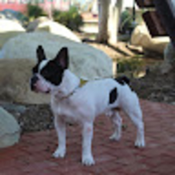 Meet your Posher, Adilene - Picture 1 of 1